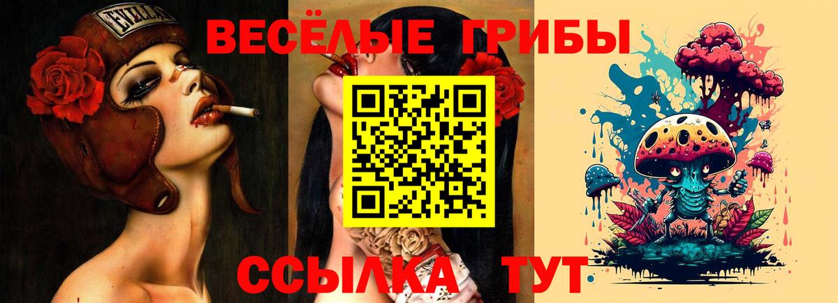 Псилоцибиновые грибы Cubensis  Вход с VPN  Обь  Псилоцибиновые грибы MAGIC MUSHROOMS 