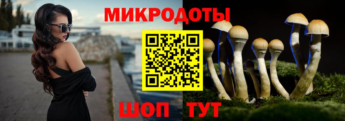 Псилоцибиновые грибы Psilocybine cubensis Обь